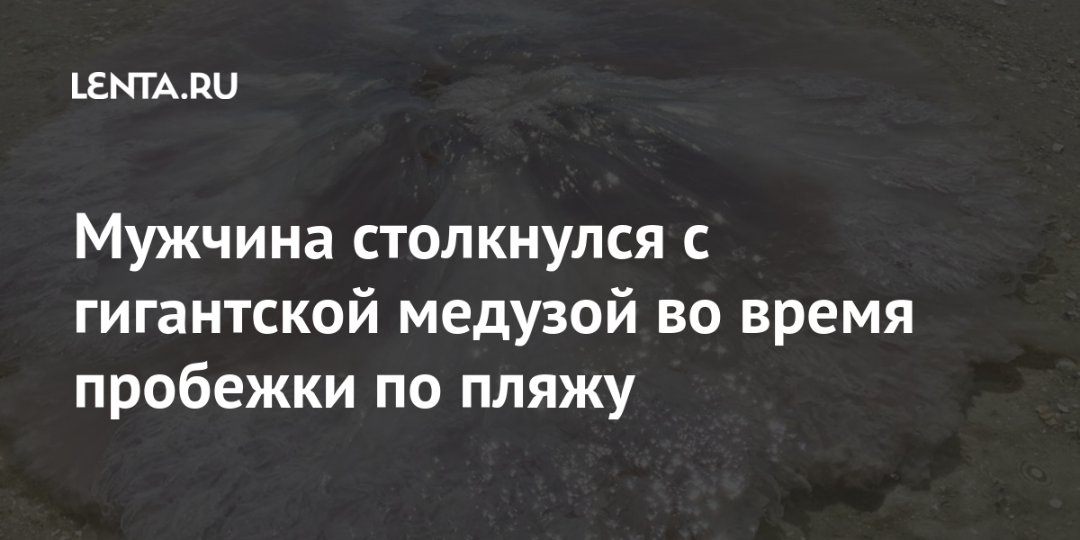 Мужчина столкнулся с гигантской медузой во время пробежки по пляжу ...