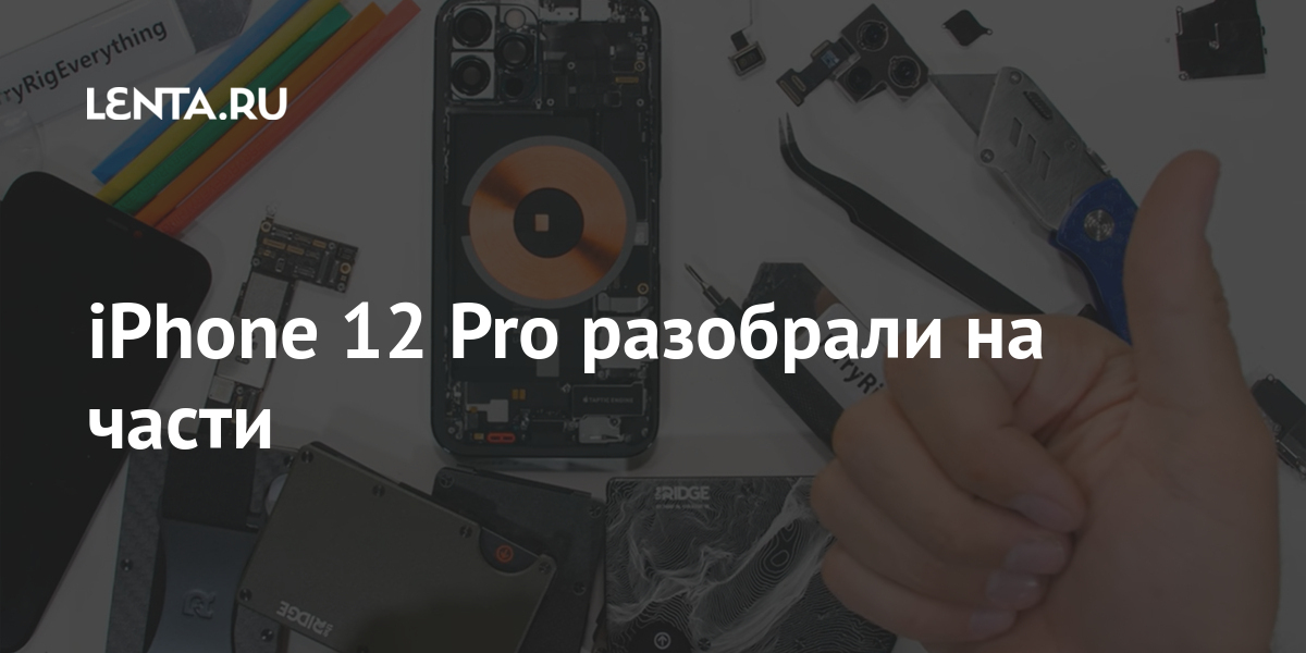 iPhone 12 Pro разобрали на части: Гаджеты: Наука и техника: Lenta.ru