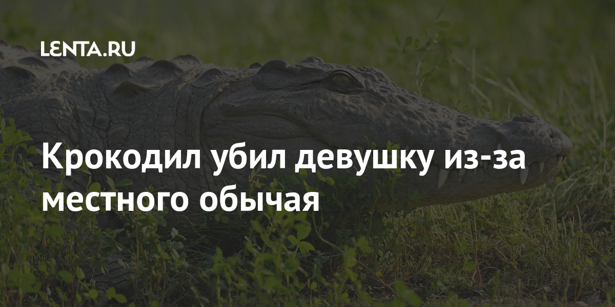 Крокодил убил девушку из-за местного обычая: Происшествия: Из жизни ...