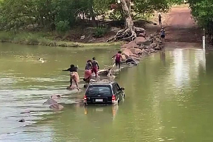 Семья перешла кишащую крокодилами реку вброд и попала на видео