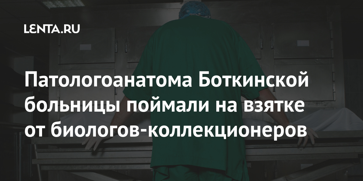 Сколько платят патологоанатом. Патологоанатом в Боткинской больнице. Патологоанатом зарплата в России. Патологоанатом зарплата. Врач патологоанатом зарплата.