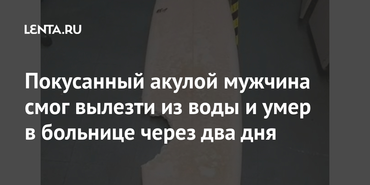 Покусанный акулой мужчина смог вылезти из воды и умер в больнице через ...