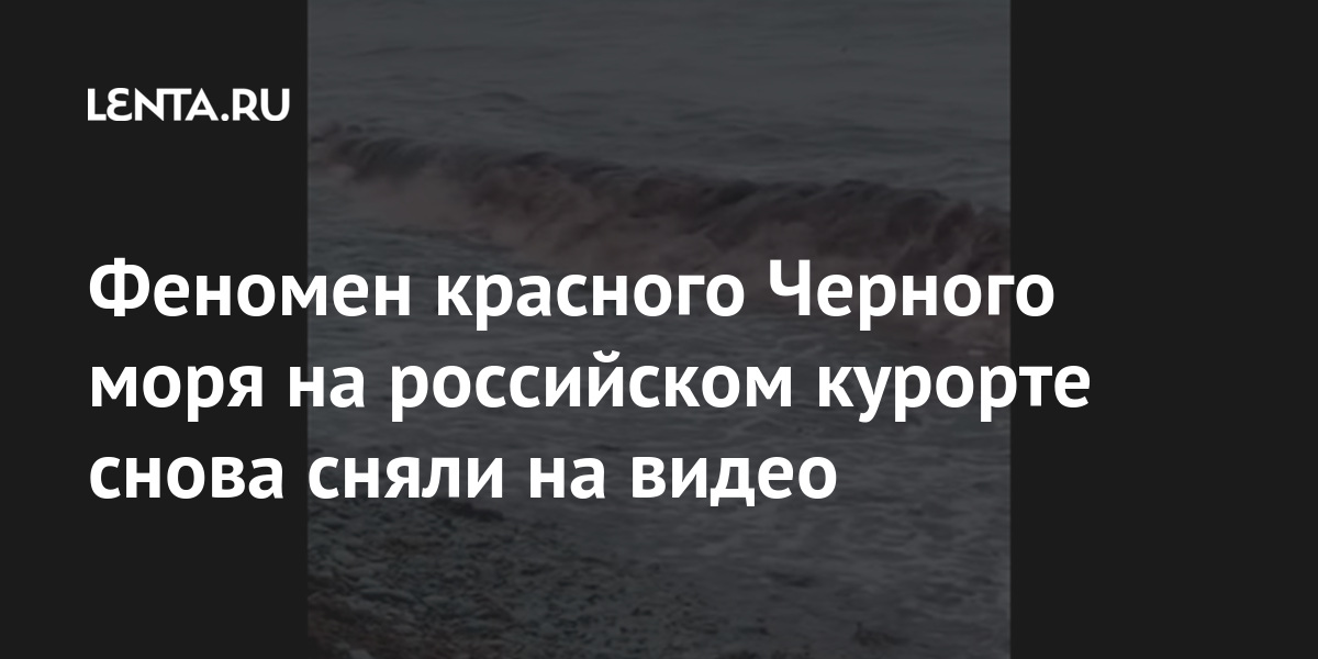 Купальщики в Светлогорске проигнорировали чёрный флаг и устроили заплыв возле бун (видео)