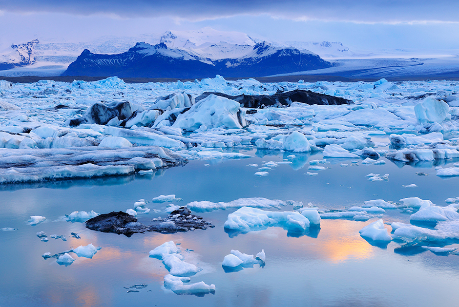 Арктика и Антарктика находятся на разных концах земного шара: в первой расположен Северный полюс Земли, а во второй — Южный. Из общего у них — крайне суровый климат и вечный лед. 

Отличий же гораздо больше — даже в названиях этих зон заложено противопоставление: Арктика произошла от древнегреческого «арктос», то есть «находящаяся под созвездием Большой Медведицы», а Антарктика, открытая гораздо позже, — это «анти-Арктика», то есть расположенная напротив.