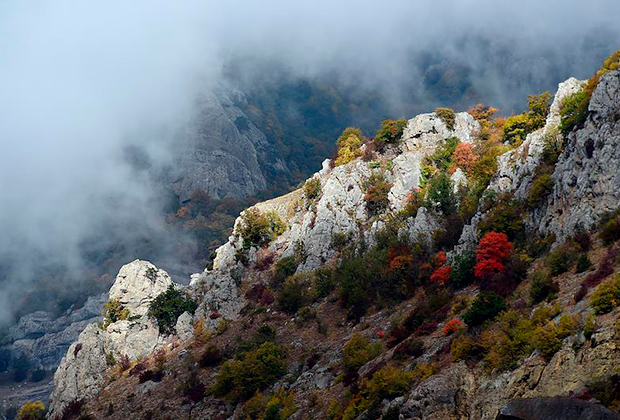 Виды Крыма. Долина привидений на горе Демерджи