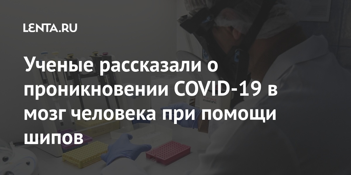 Наука Наука и техника: Lenta.ru