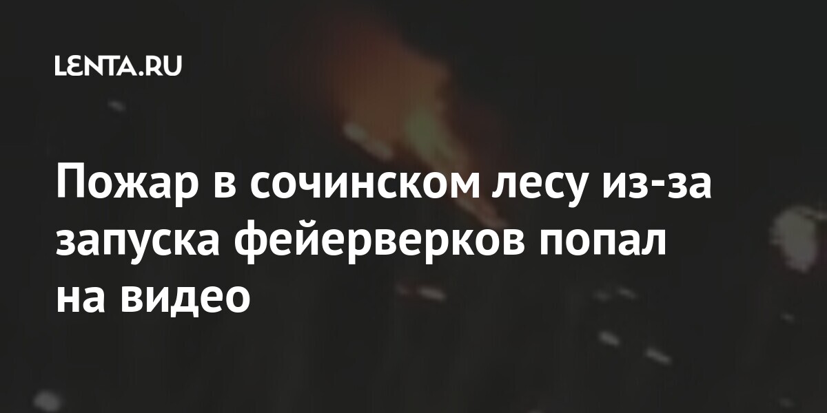 Пожар в сочинском лесу из-за запуска фейерверков попал на видео: Общество: Россия: Lenta.ru