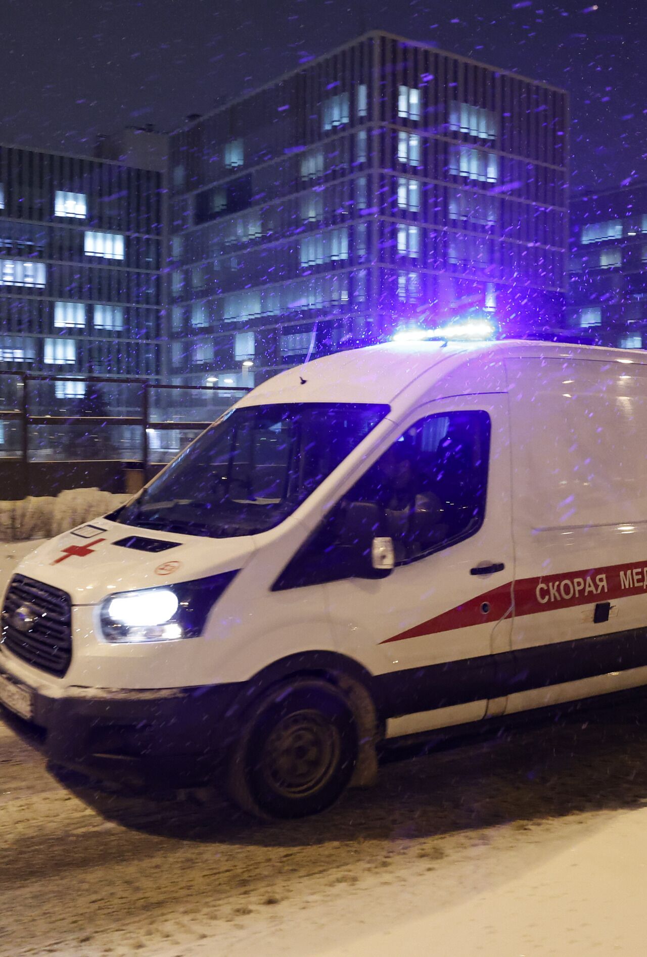 Лента В Новогодние Праздники Лента В Новогодние Праздники