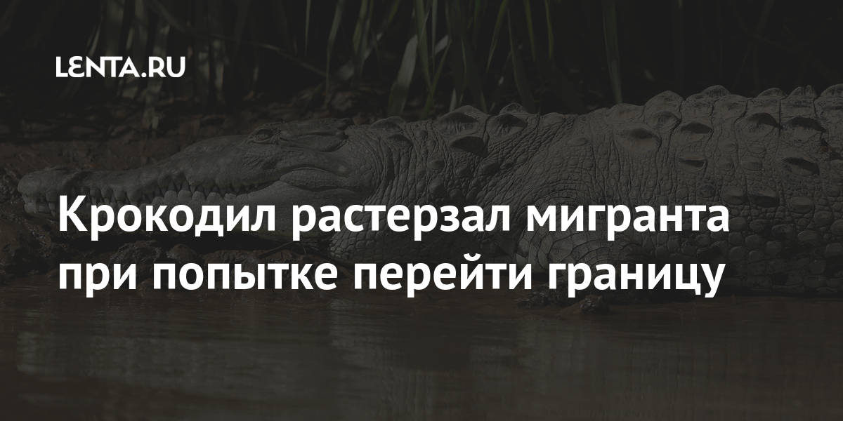 Крокодил растерзал мигранта при попытке перейти границу