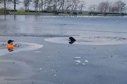 Бегун прыгнул в заледеневшее озеро ради спасения чужой собаки