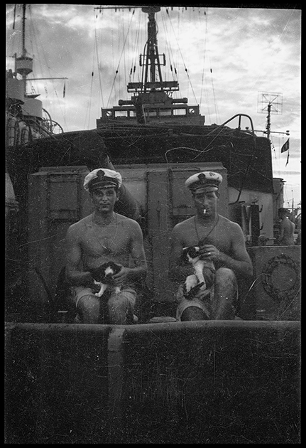 Портрет британских моряков с корабельными котятами на палубе эсминца. Эти домашние животные фактически считались полноправными членами экипажа. 1944-1945 годы.