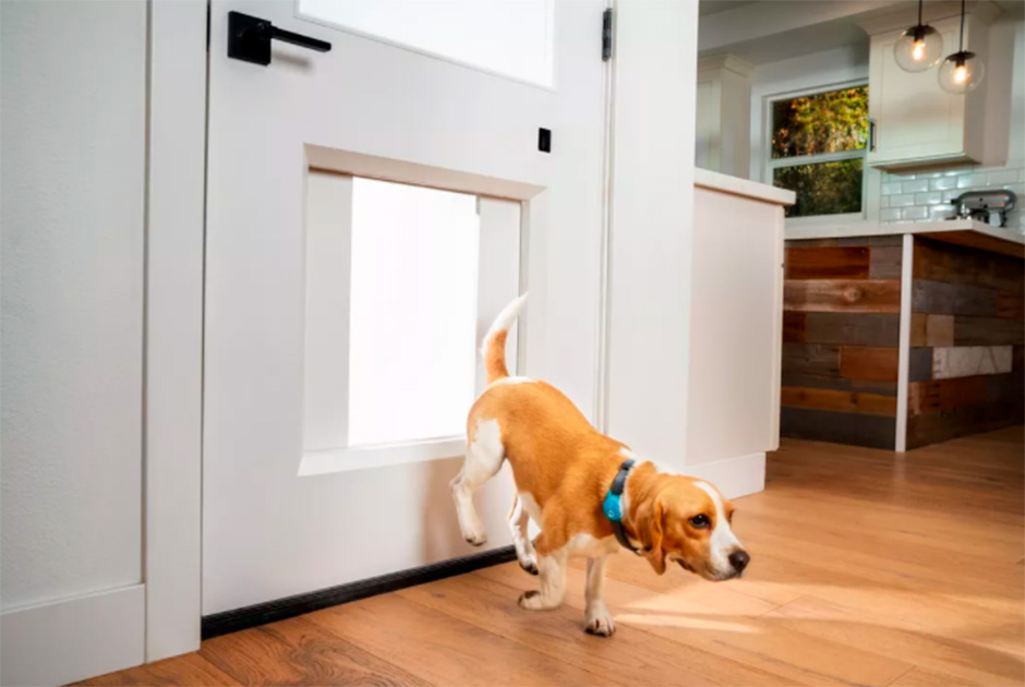 MyQ Pet Portal — первая в мире автономная собачья дверь. Она устанавливается в нижнюю часть обычной двери и открывается при приближении специального ошейника с встроенным датчиком. Получается, что животное в любой момент — без участия хозяина — может выйти во двор или на улицу погулять. Есть вопросы насчет безопасности — как собаки, так и дома, — что если доступ к ошейнику получит вор? Умная дверь стоит каких-то безумных денег — базовая версия обойдется в 3000 долларов.