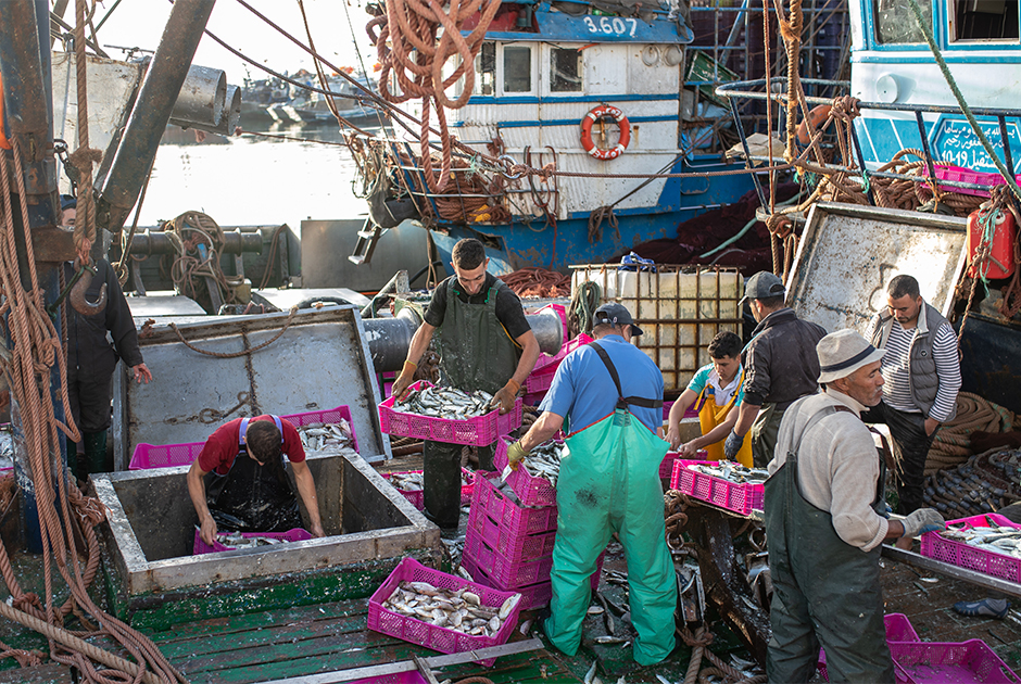 Рыбаки готовятся к транспортировке улова в порту