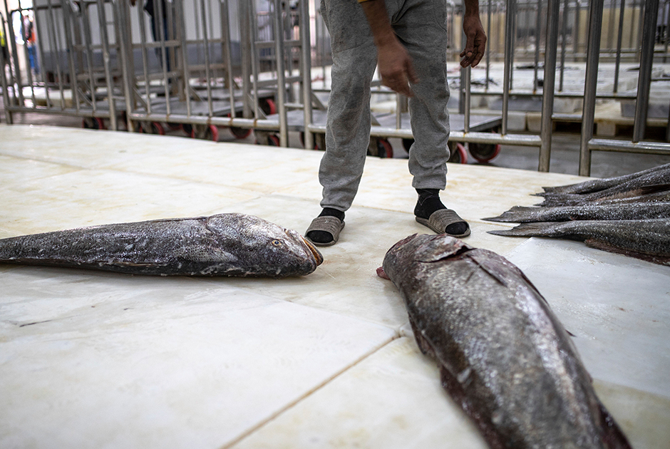 Продавцы рыбы во время аукциона в главном порту Дахлы
