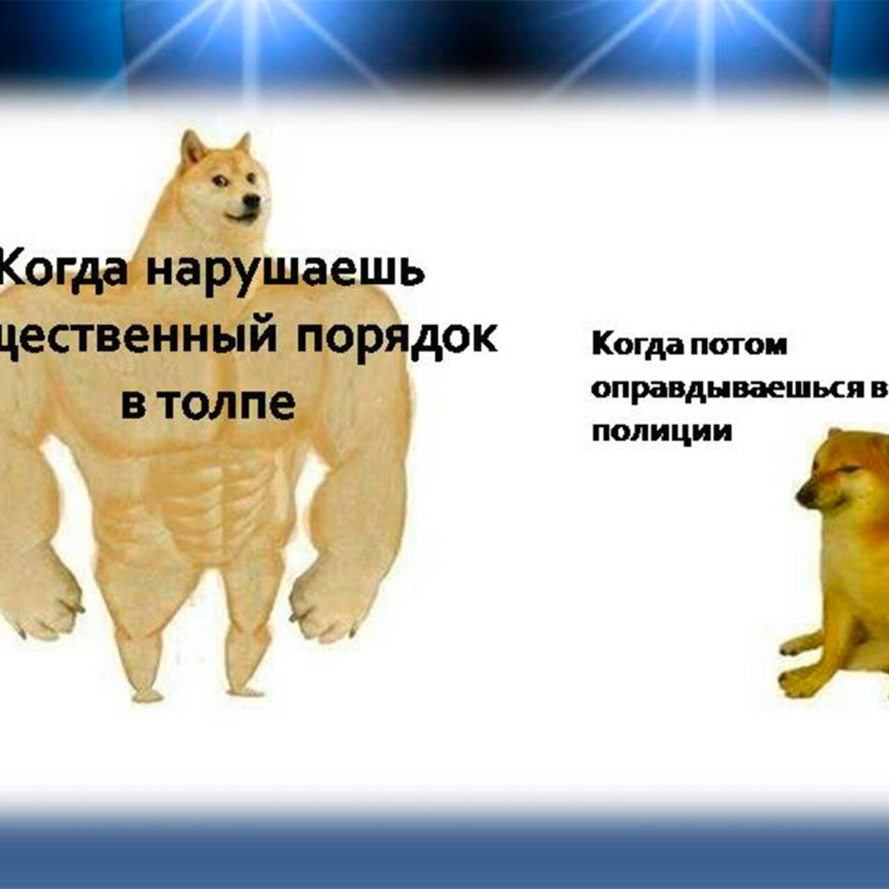 МВД России предупредило протестующих одним из главных мемов года: Coцсети:  Интернет и СМИ: Lenta.ru