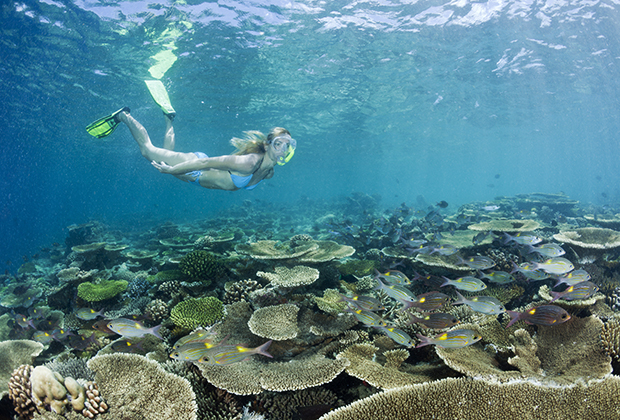 Коралловые рифы атолла Ари