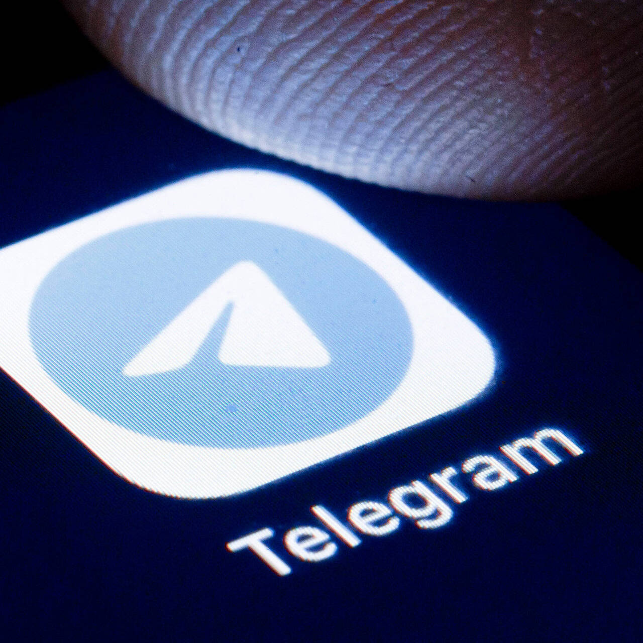 СБУ заявила о связи украинских Telegram-каналов с российскими спецслужбами:  Украина: Бывший СССР: Lenta.ru