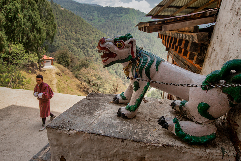 Жители Бутана называют свою страну «Друк Юл» — страна дракона-громовержца. Их король совершенно официально считается драконом. Кроме него, говорят, в горах живут и другие драконы, просто не все их видят. Но на всякий случай, чтобы их не беспокоить, восхождения на вершины запрещены. Однако есть множество интересных треков без восхождений, в том числе «тропа снежного человека», один из самых сложных пеших маршрутов в мире. 

Прохождение тропы занимает две недели, значительная ее часть пролегает на высоте четырех тысяч метров. Лошади на такой высоте ходить уже не могут, и гиды используют в качестве вьючных зверей яков — еще одно традиционное животное Гималаев.