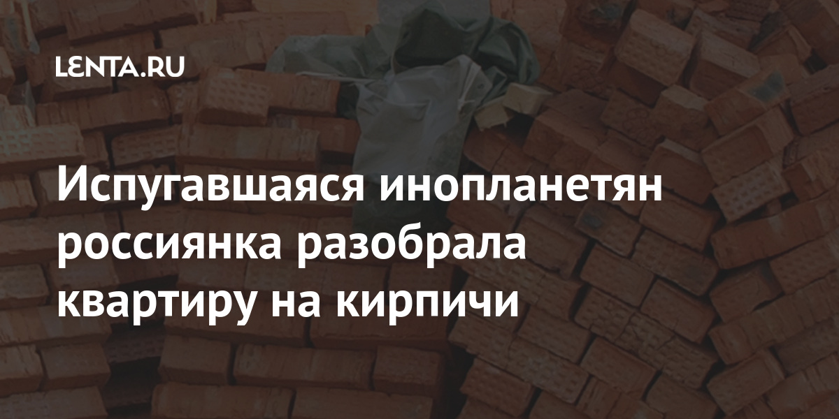Испугавшаяся инопланетян россиянка разобрала квартиру на кирпичи