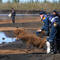 Сотрудники МЧС РФ во время ликвидации последствий розлива нефтепродуктов из резервуара ТЭЦ-3 под Норильском
