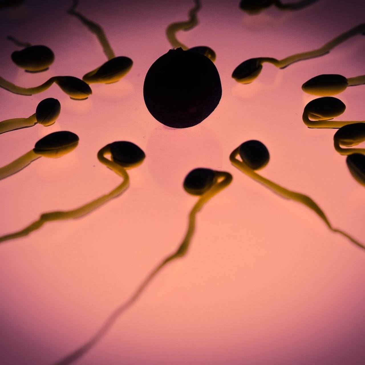 польза спермы для женского организма во в фото 89