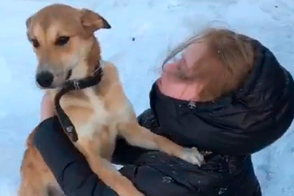 Похищенную мстительным любовником собаку нашли и вернули хозяйке спустя месяц