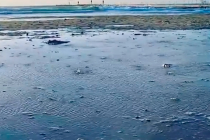 «Кипящая» у берега Черного моря вода попала на видео и вызвала споры среди россиян