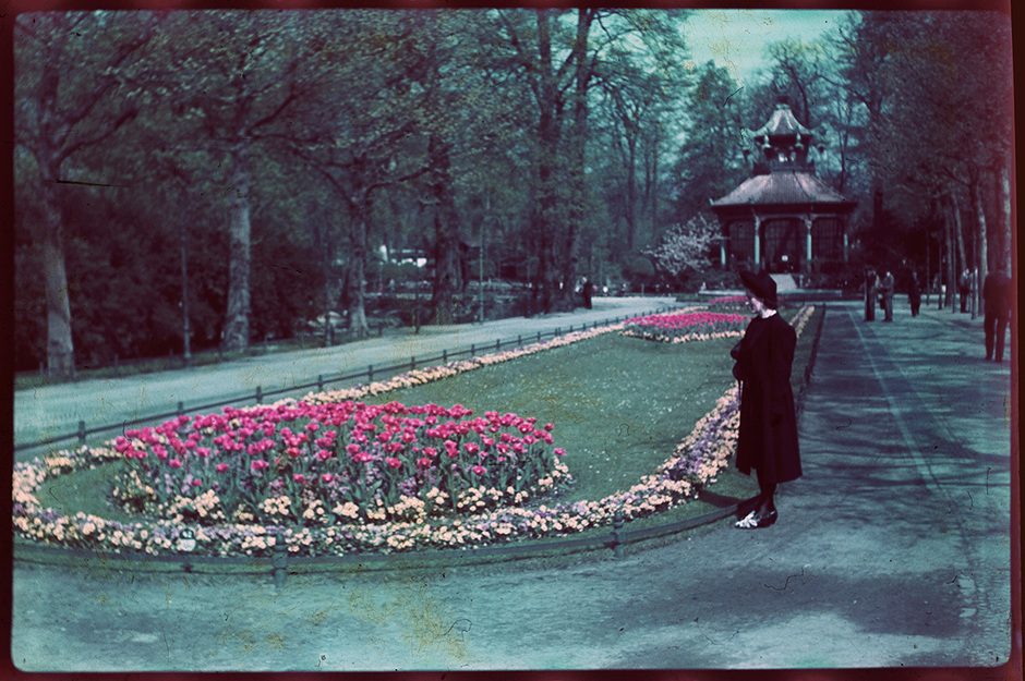 Дама у клумбы с тюльпанами в Берлинском зоопарке. 1942-1943 годы.