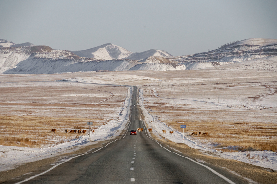 Одна из самых ярких и выдающихся достопримечательностей республики — ее природа. Фантастические холмистые пейзажи, которые сопровождают туристов на всем пути по главной трассе региона, без труда могут составить конкуренцию соседней Монголии, а то и зимней Исландии — в очередной раз доказывая, что вовсе не обязательно лететь за границу ради красивых видов и фотографий.

К слову, горы занимают примерно 80 процентов территории Тувы, в то время как остальная часть — это равнинные степные участки. Из-за удаленности от морей и океанов климат в регионе резко континентальный — температура воздуха зимой может опускаться ниже минус 35 градусов, а летом, напротив, подниматься до плюс 30. Зато здесь почти всегда солнечно, и редко случаются осадки. 