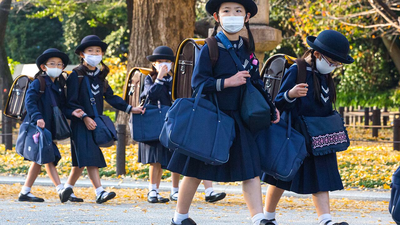 Девушки в панталонах, анал молодых японок, японская школа без трусов