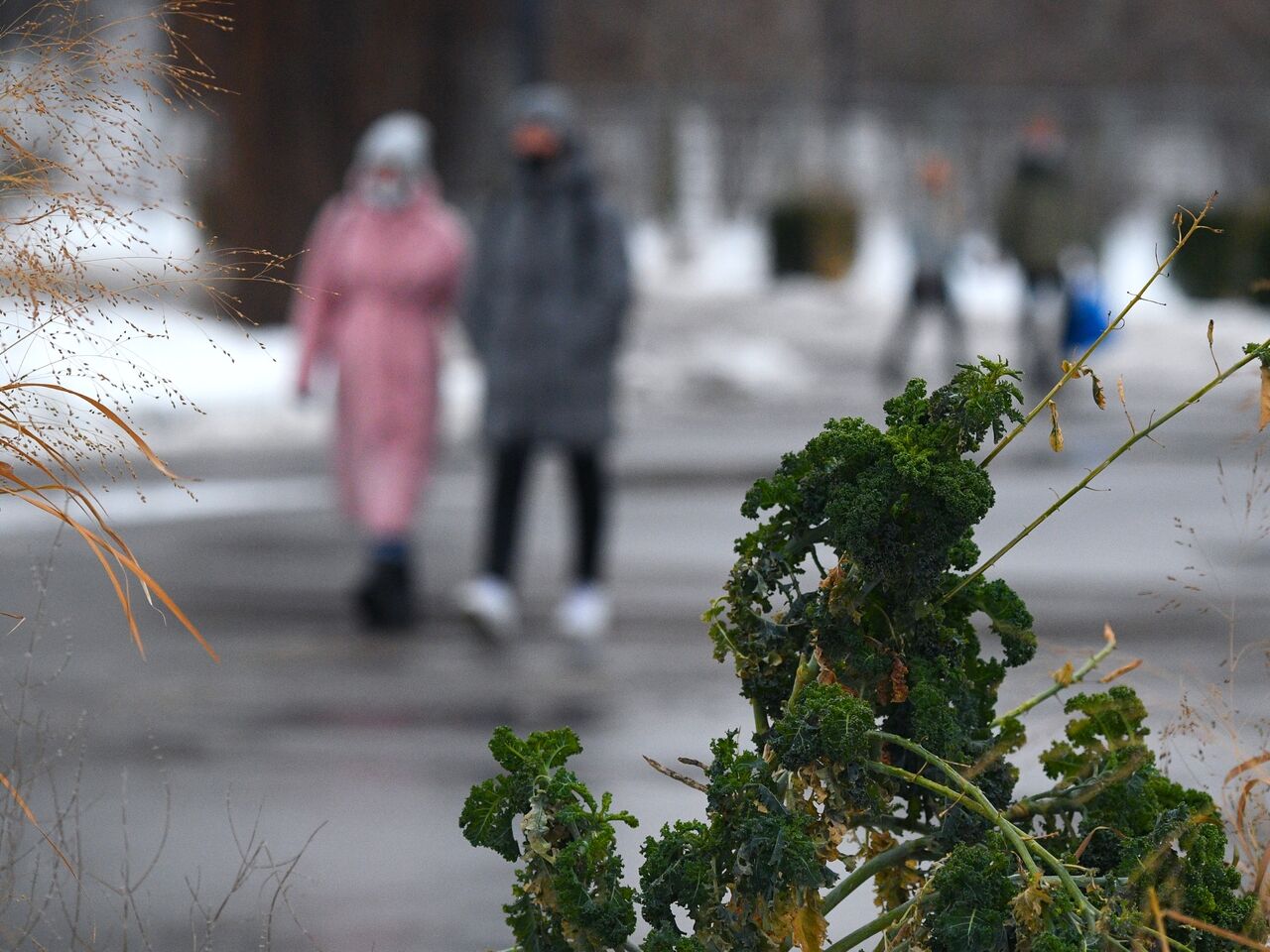 Потепление москва декабрь. Небольшой снег. Снег в Москве. Снегопад в Москве. Небольшой снег и гололедица ожидаются.