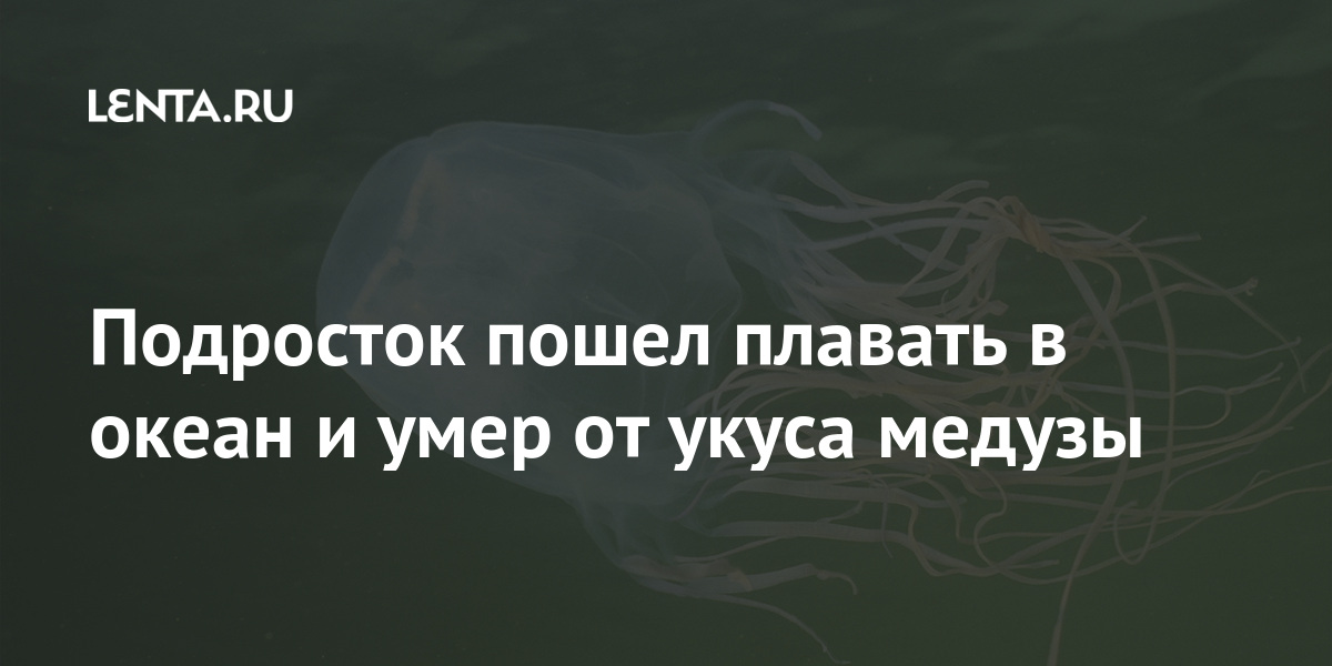 Надежная защита от смертельного укуса медузы