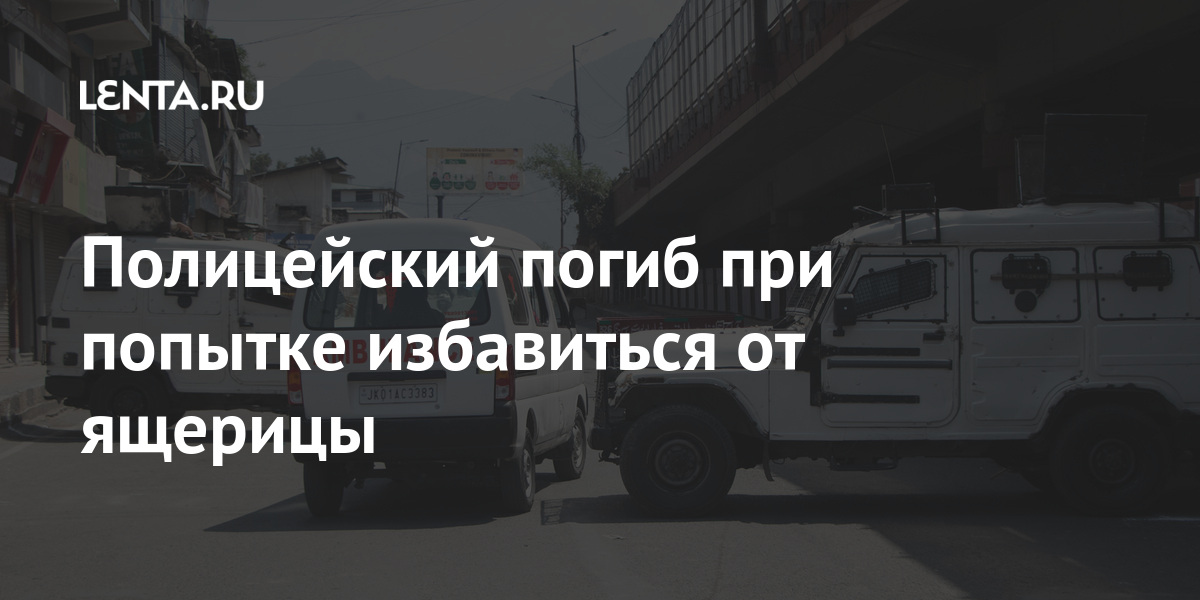lenta.ru