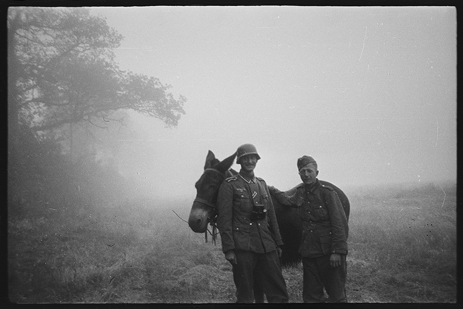 Немецкие военные вместе с мулом в утреннем тумане. Франция, 1940 год.