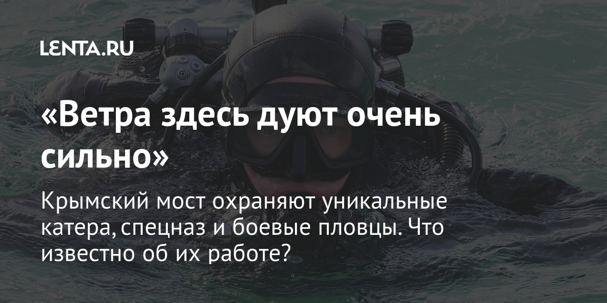 Чтоб не очень то сквозило. Боевые пловцы Крымский мост. Спецназ охраняет Крымский мост. Как охраняют Крымский мост. Дельфины охраняют Крымский мост.