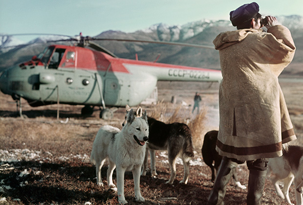 Пастух колхоза имени Жданова следит за стадом оленей, Магаданская область