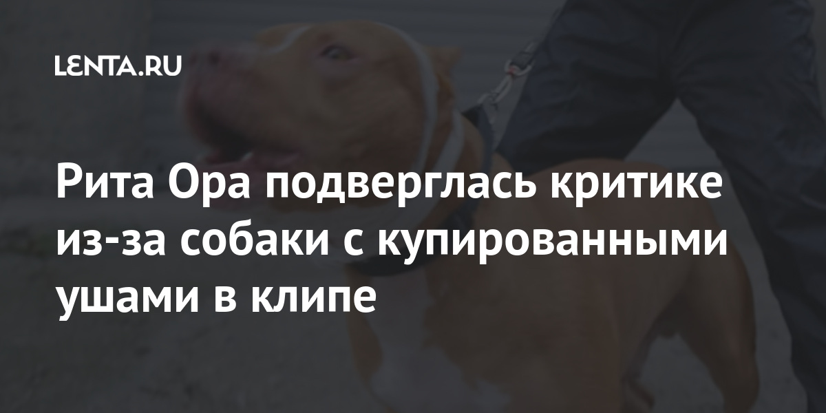 Рита Ора подверглась критике из-за собаки с купированными ушами в клипе Рита Ора подверглась критике из-за собаки с купированными ушами в клипе Культура