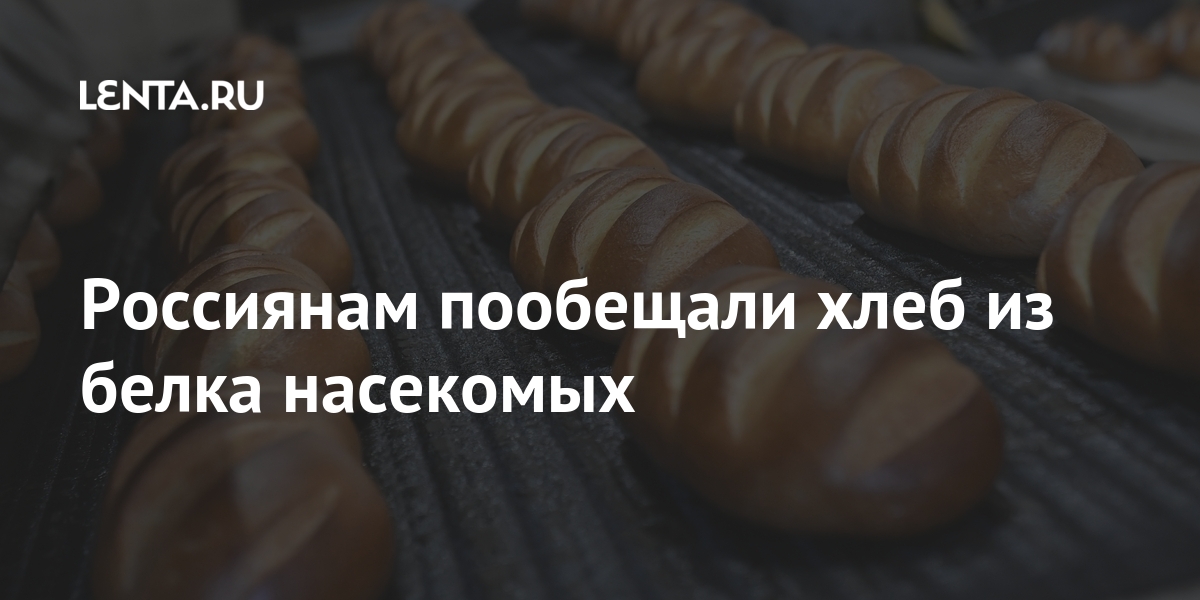 lenta.ru
