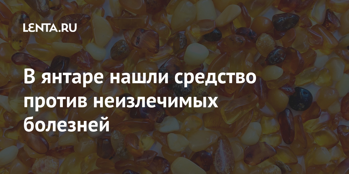 В янтаре нашли средство против неизлечимых болезней 1 share bda4279beec0f62f611bd7761943f221 В янтаре нашли средство против неизлечимых болезней