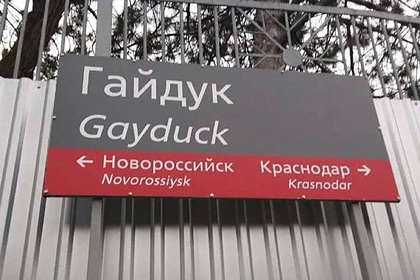 В российском регионе избавятся от таблички с названием станции «Гей утка»