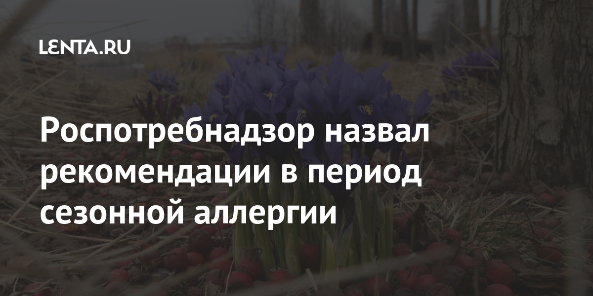 Роспотребнадзор назвал рекомендации в период сезонной аллергии 1 share 0bdfccbbff81736827edc8c3b9061b25 Роспотребнадзор назвал рекомендации в период сезонной аллергии