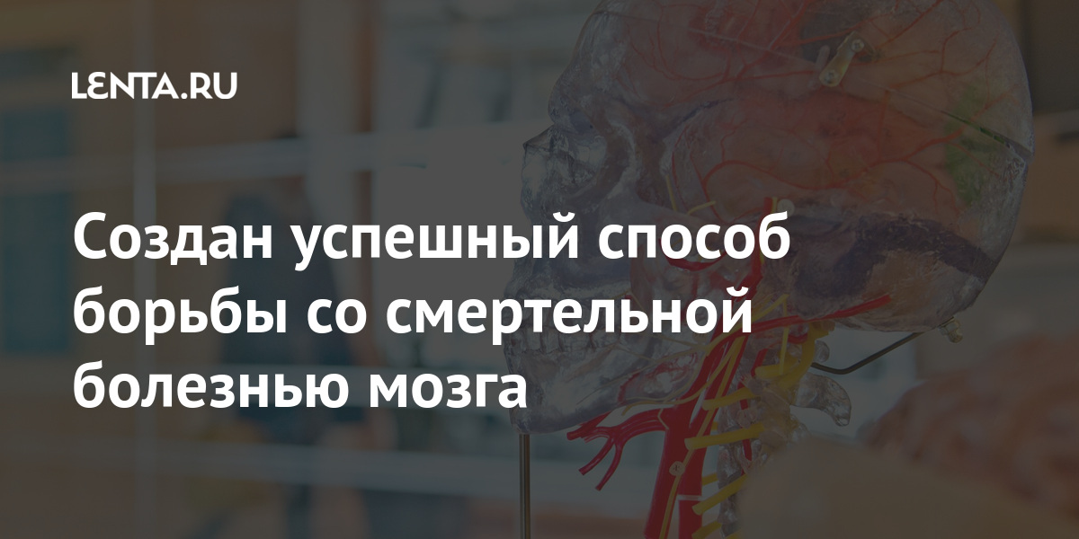 lenta.ru