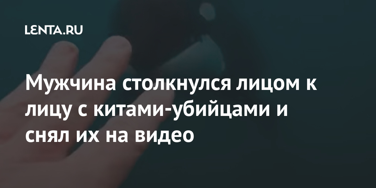 Мужчина столкнулся лицом к лицу с китами-убийцами и снял их на видео 1 share c69aed264894ad52315d25d07e69a4bc Мужчина столкнулся лицом к лицу с китами-убийцами и снял их на видео