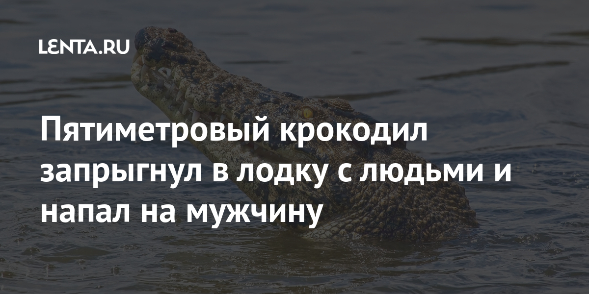 И несчастный крокодил оплакивает жертву хотя и не прерывает сытного обеда найти слово по схеме