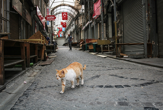 Пустая торговая улица в Стамбуле