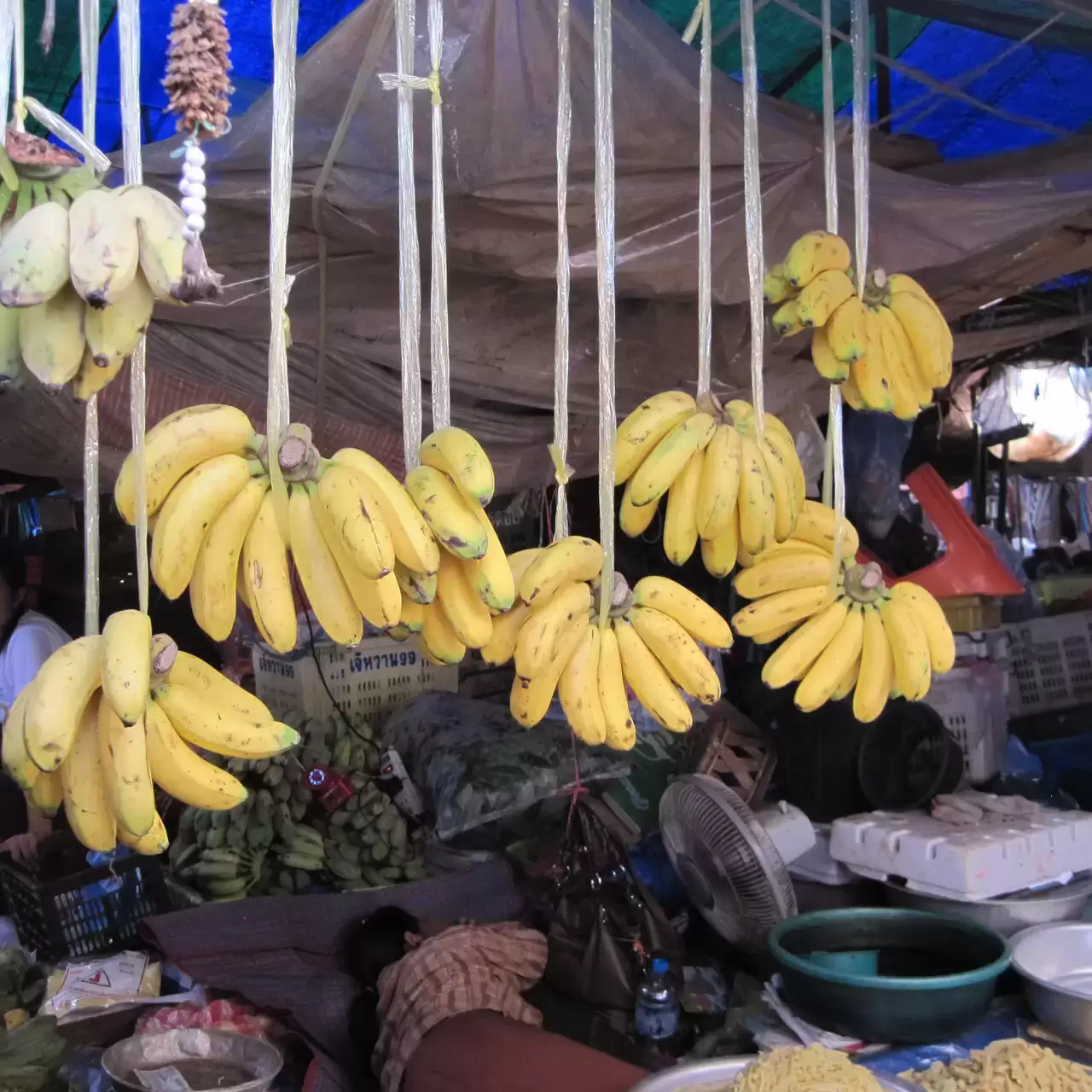 Бананы как наркотики русские ресурсы в даркнет hidra