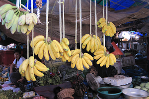 В Эквадоре обнаружили бананы с кокаином для России 