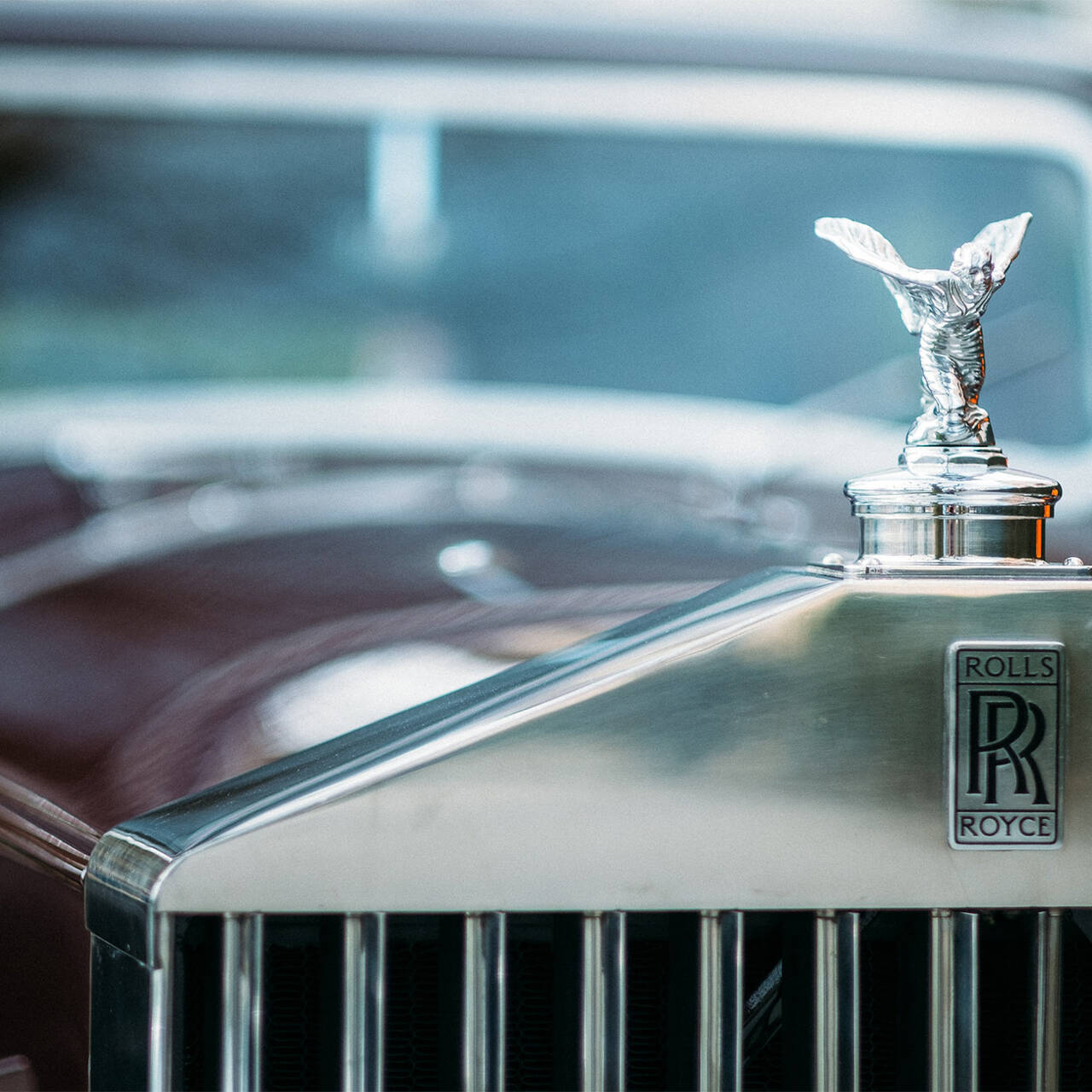 Rolls Royce из России арестовали за обивку из кожи редкого крокодила:  Явления: Ценности: Lenta.ru