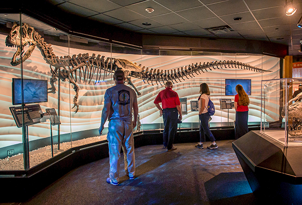 Скелет динозавра в Музее сотворения
