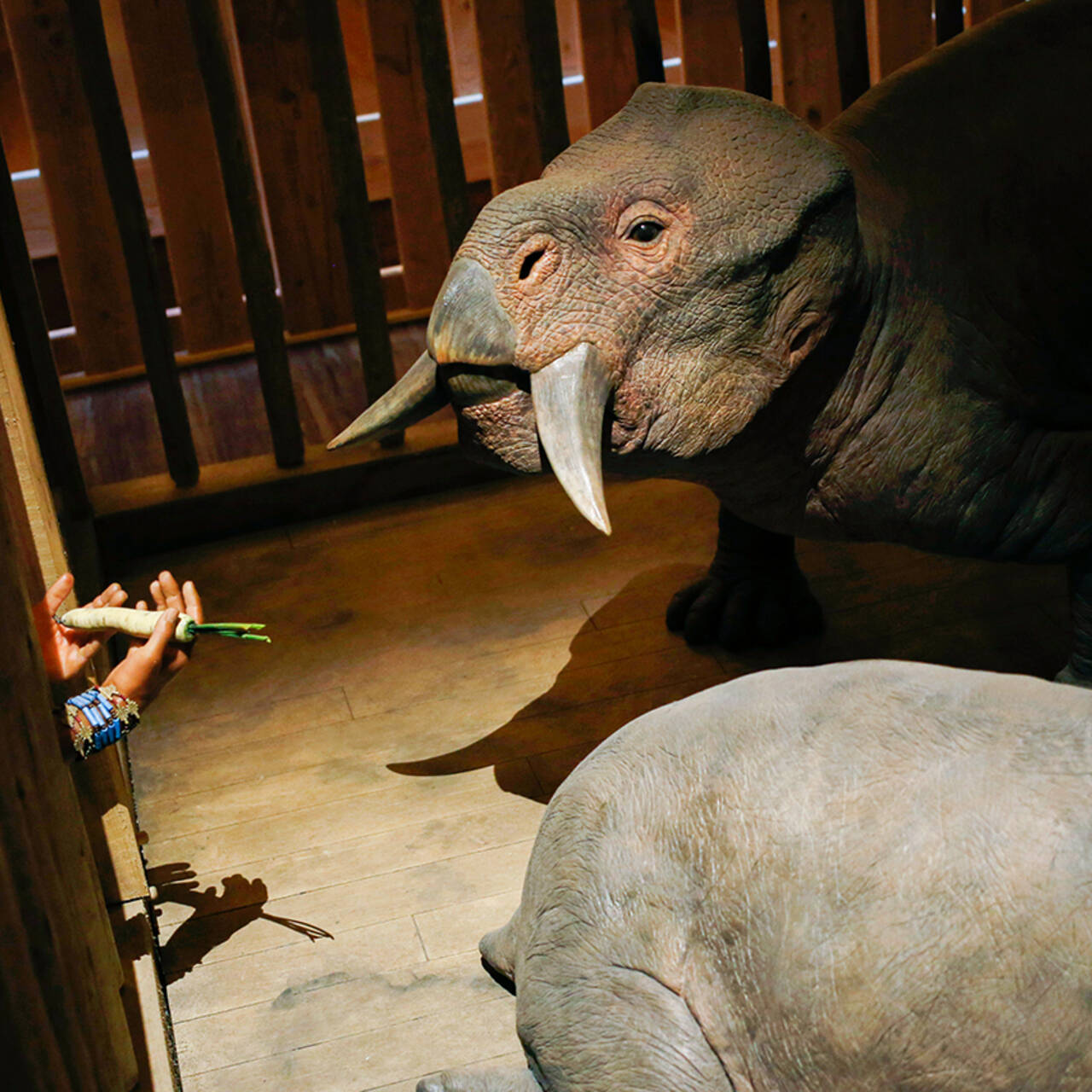 Вера крепчала. Откуда в США появились музеи с динозаврами в Ноевом ковчеге  и почему это никого не смущает: Люди: Из жизни: Lenta.ru
